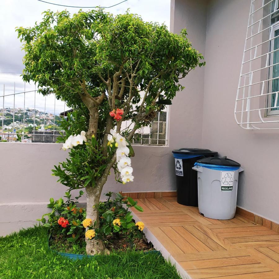 Loft Encantador C - 8 Km De Floripa Sao Jose  Exterior foto